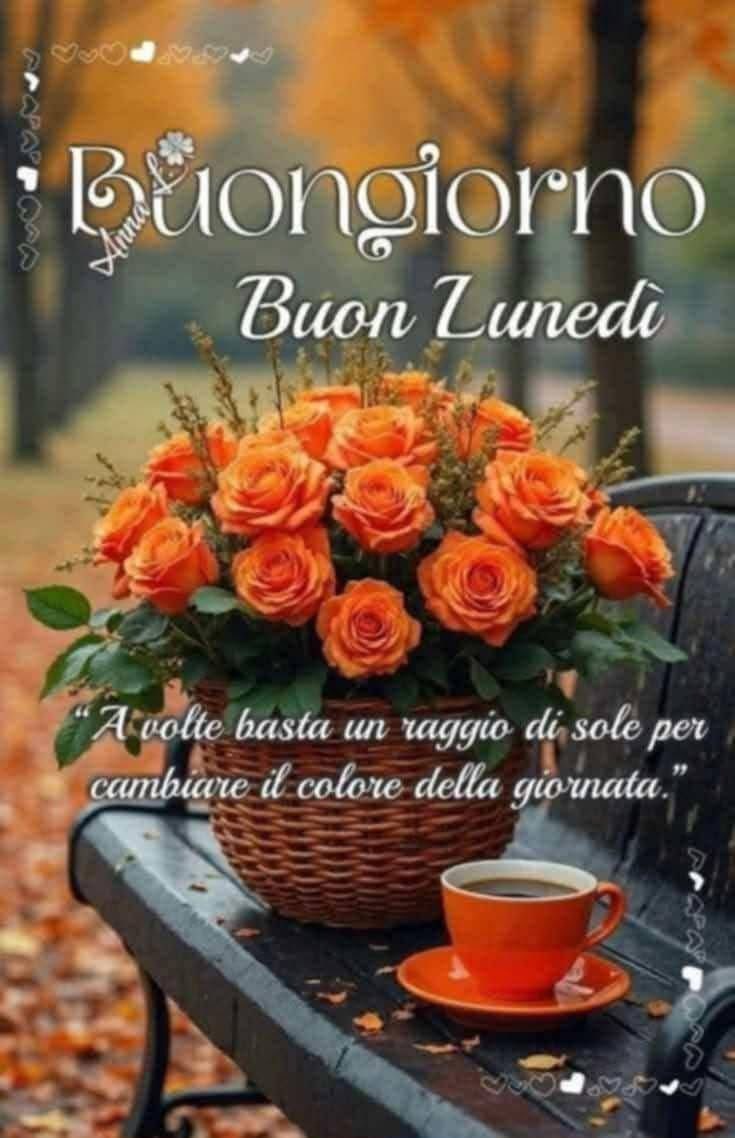 RITABIANCHi56 tweet media