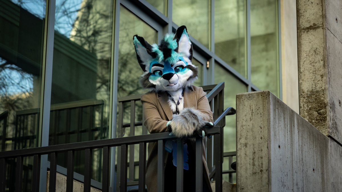Hewwo down there~ ✨

✂️| Fursuit: <a href="/nyaamiou/">🐐Nyaamiou (Nekopaint)</a>
👁️| Eye System: <a href="/DeerisLeGris/">LouisLeGris</a> 
📸 | Photographer: <a href="/CroctheOtter/">Croc 🦦</a>