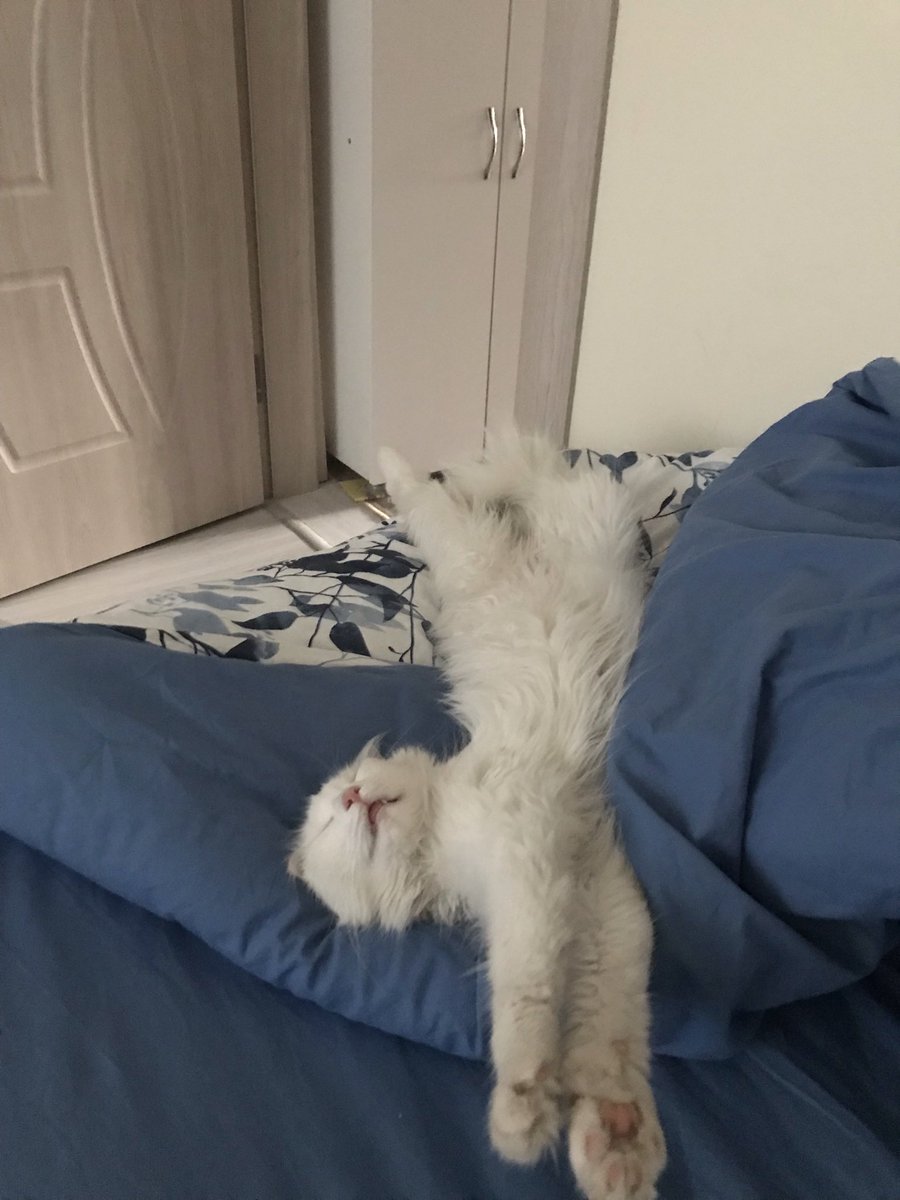 delideliolmam's tweet photo. Pazartesi sendromu https://t.co/3AeIZKMwqE
