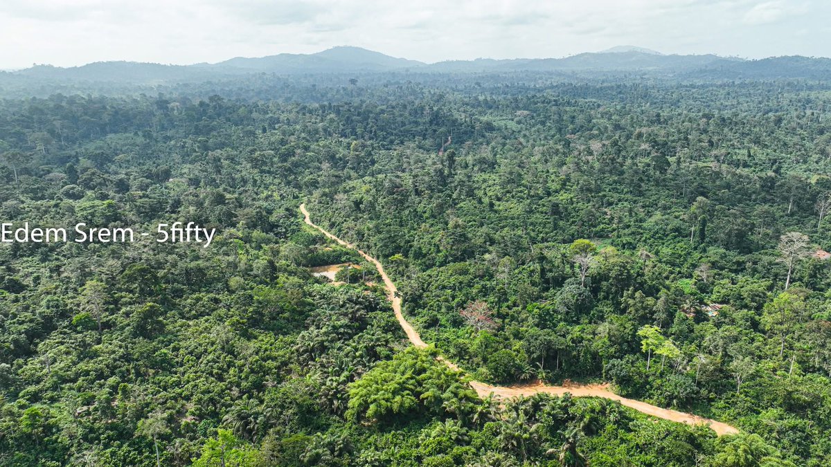 Yaw_nyame35's tweet image. In just 60 years, Ghana has lost 65% of its forest cover. Illegal mining has now infiltrated 34 of our 288 protected forest reserves. The 2025 ban on mining in reserves was a start, but we are fighting for the last 1.6 million hectares we have left. 🌳🆘
#StopGalamseyNow