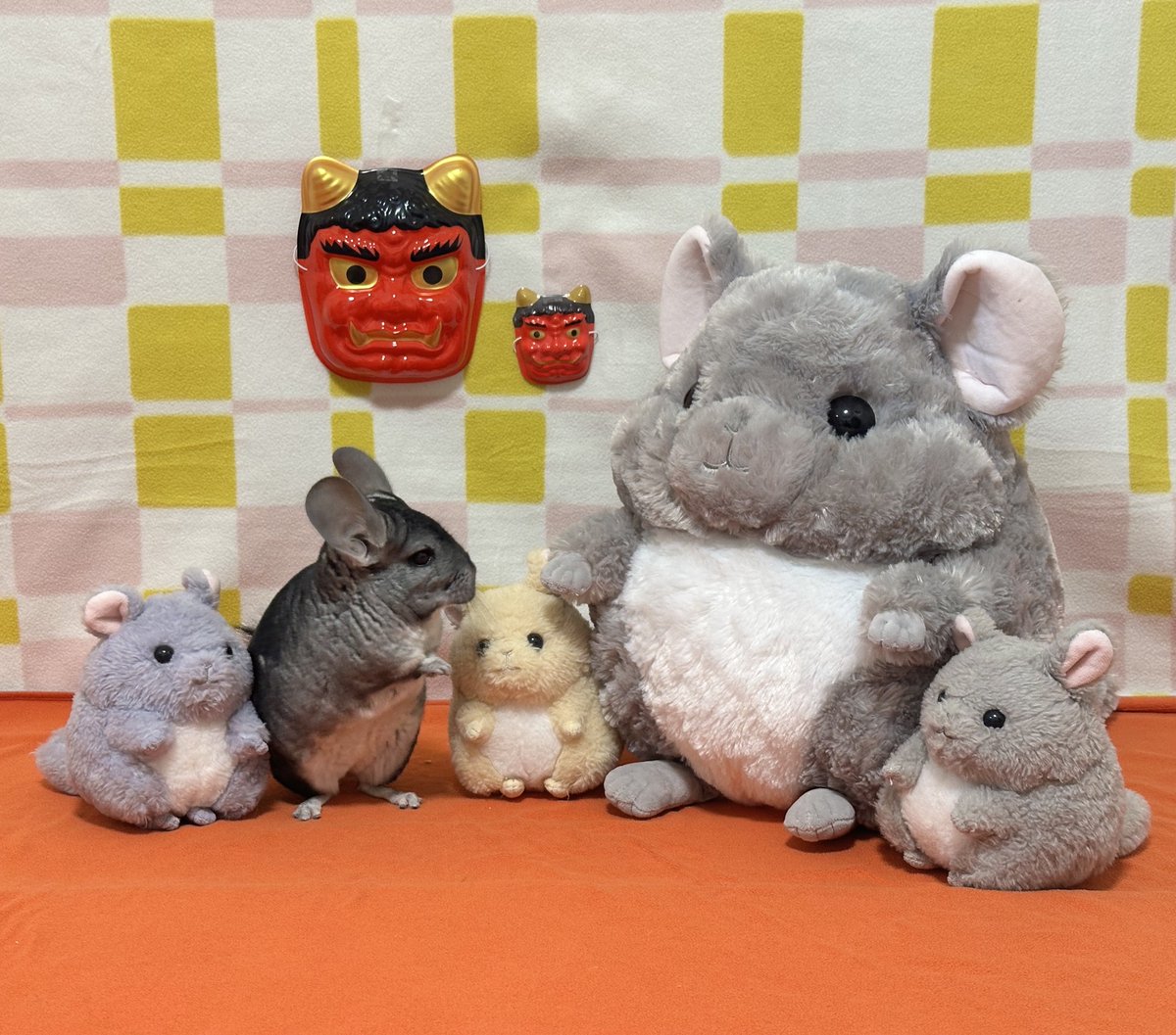 ちーこっこ🐭 (@koyukineko9) / Posts / X