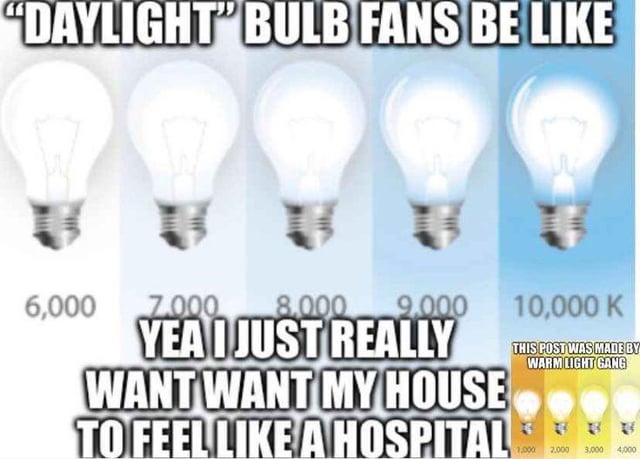 LapisFreak's tweet image. 