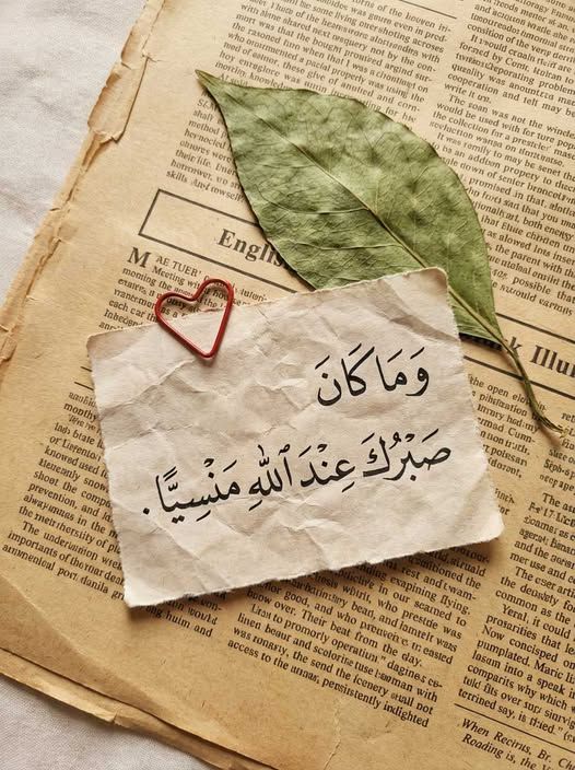 مُطمئِنةَ.! tweet media