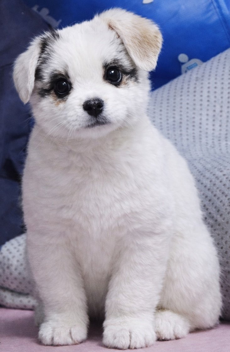 🐰깡깡깡🐇 tweet media