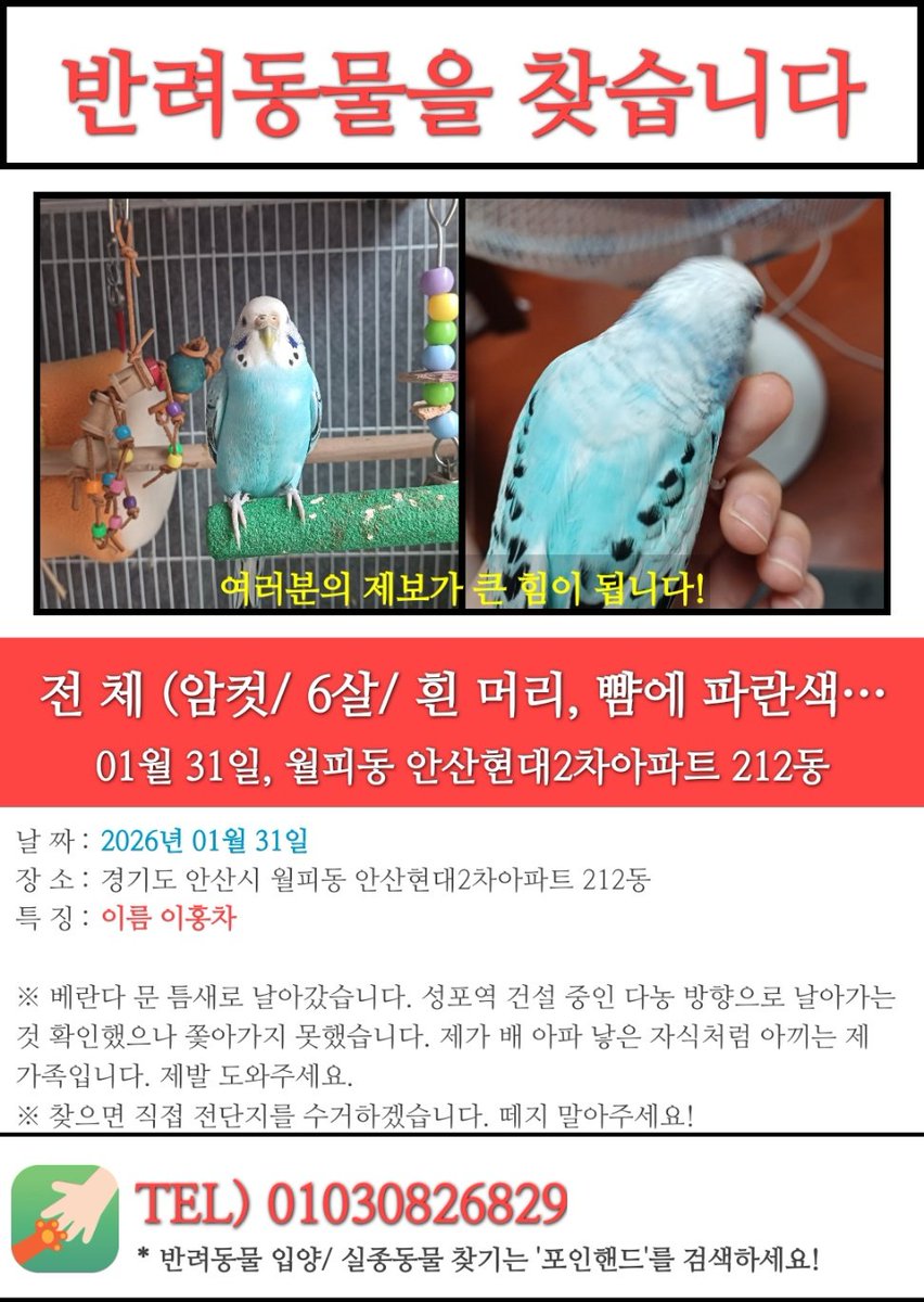 제 딸, 제 동생, 제 가족인 홍차를 찾습니다.
목격이나 보호 시 반드시 연락주시면 감사하겠습니다.