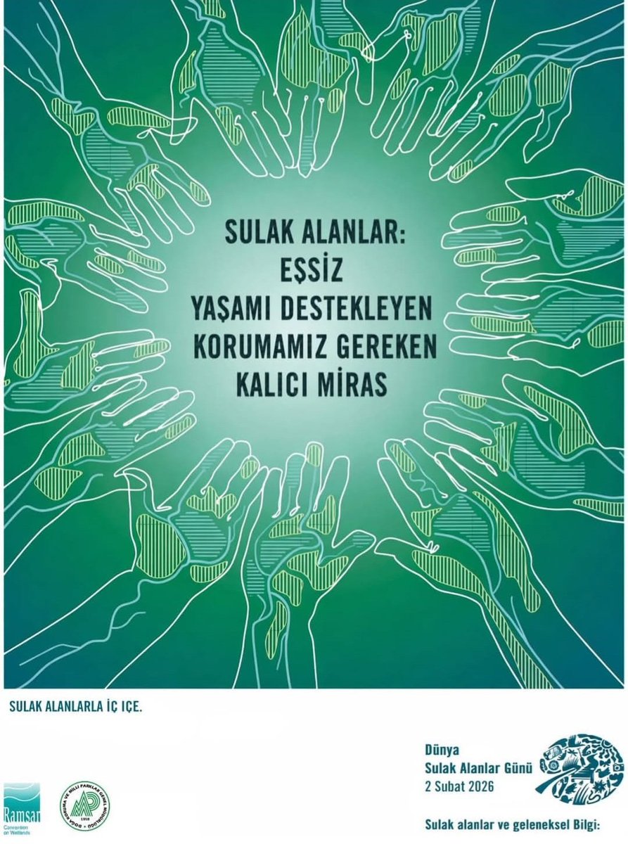 BOLU DKMP tweet media