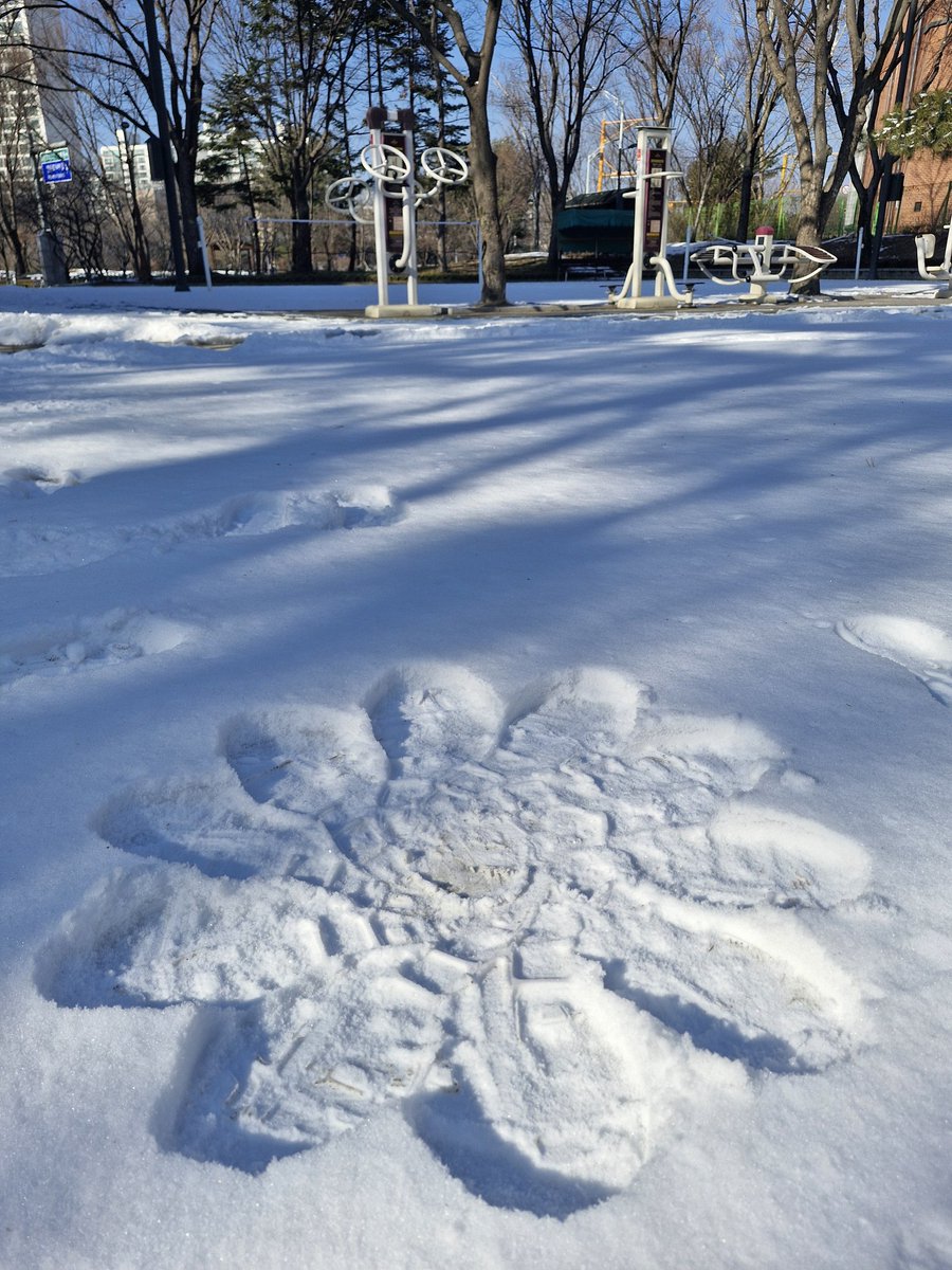 산책 나갔다가 바로 들어왔다.
이번 감기는 눈두덩이도 막 아픔.