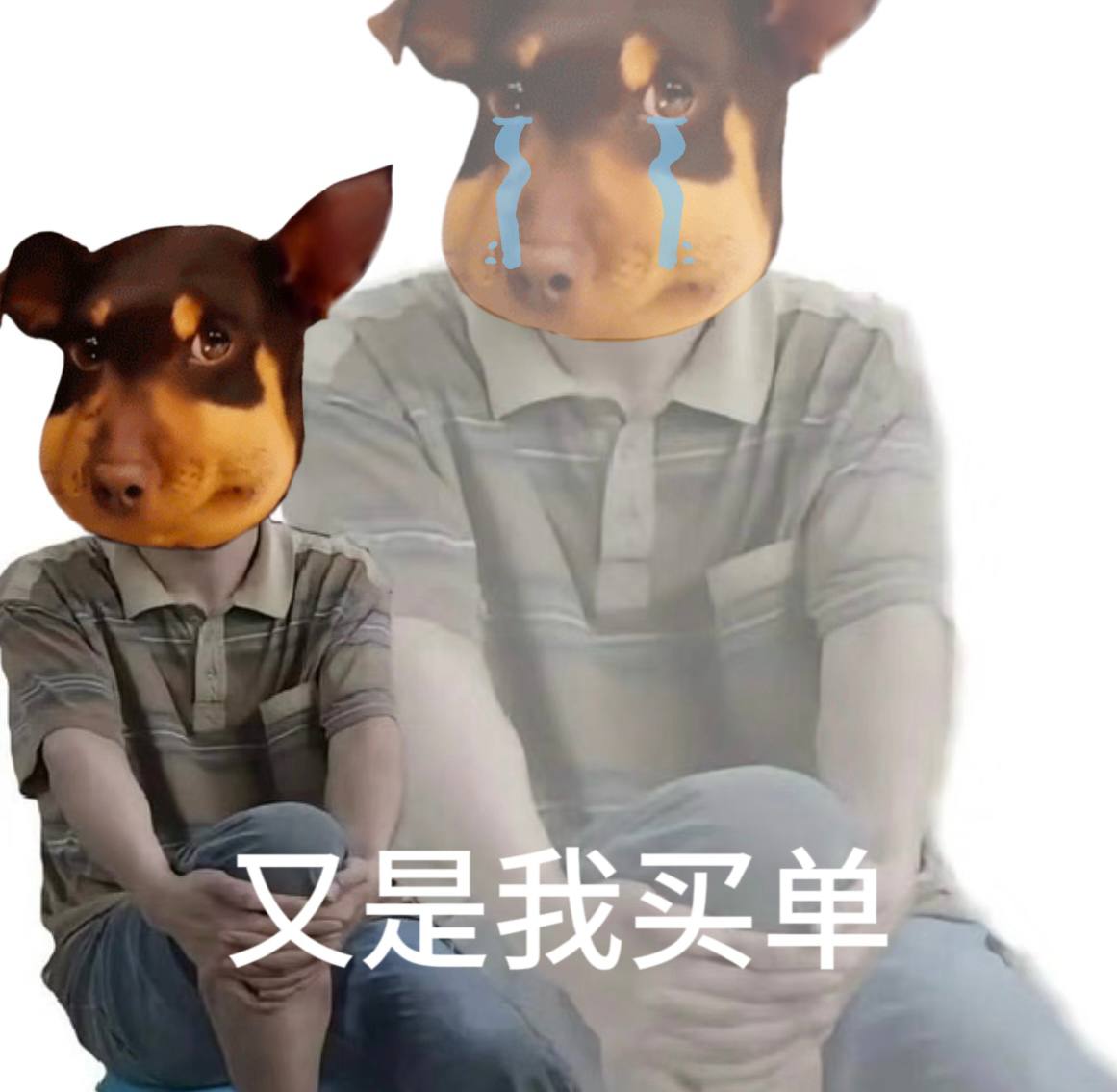 币安比特币购入计划启动，下跌行情应该不会持续太久
再看一级市场，现在踏马一飞冲天，中文行情又在蠢蠢欲动，这才是链上抄底的好时候
蜜蜂狗有社区，有官网beedog.fun（如果你在观望，希望你可以打开看看）底部钻石手帮你稳定底部，起飞就在瞬间