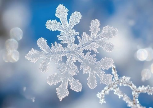 Oficjalnie Kraków zaczyna ferie zimowe❄️

Przetrwam mając dwójkę w domu❓️🤔

Ciężko powiedzieć, będę sie starać😅

A jak u Was❓️

Miłego dnia ☕️