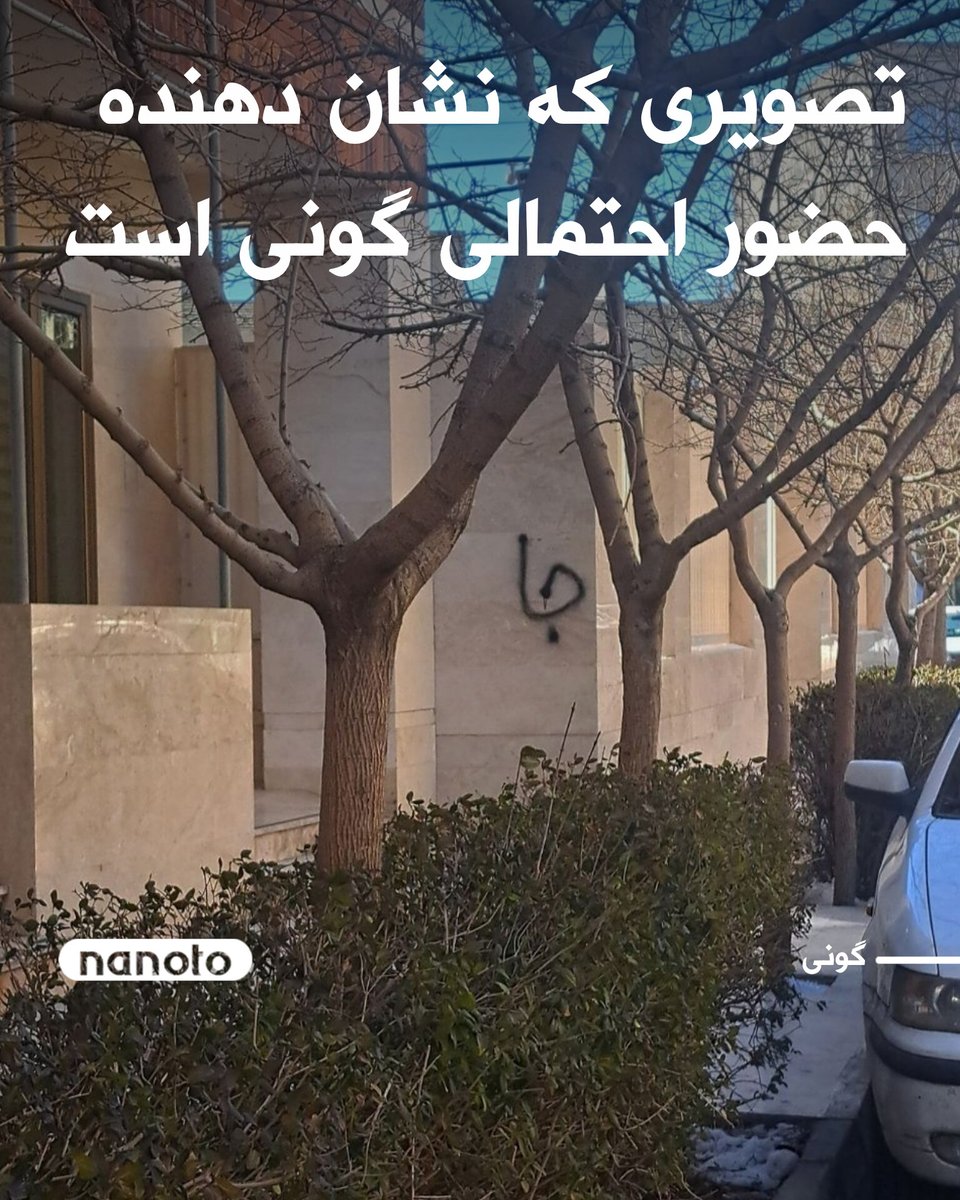 شبکه ننوتو tweet media