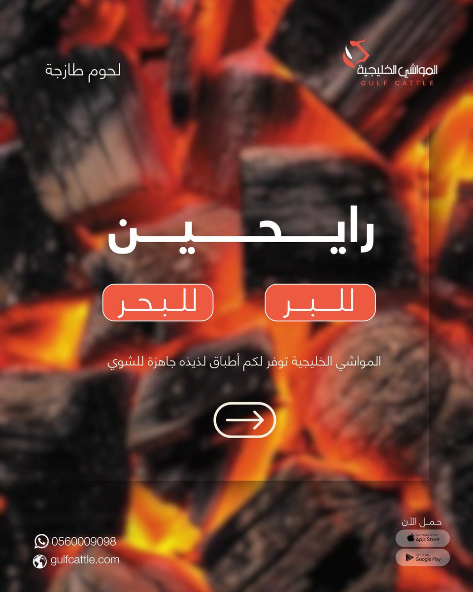 المواشي الخليجية tweet media