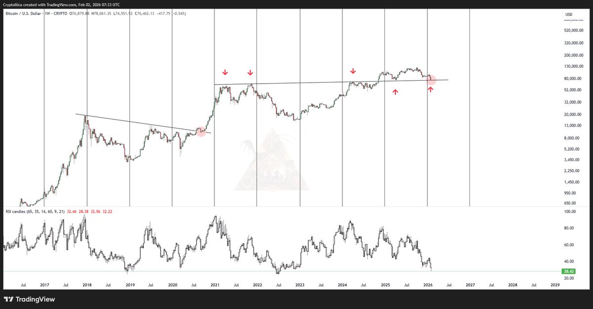 Cryptollica⚡️ tweet media