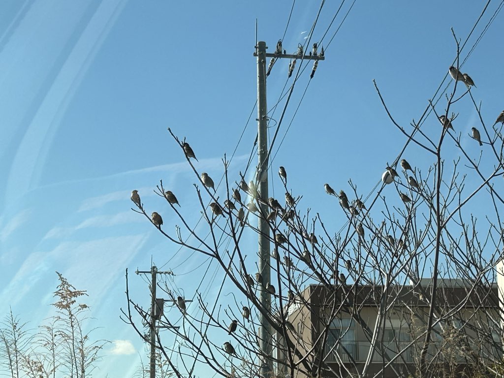 お見舞い完了
鳥達🐧