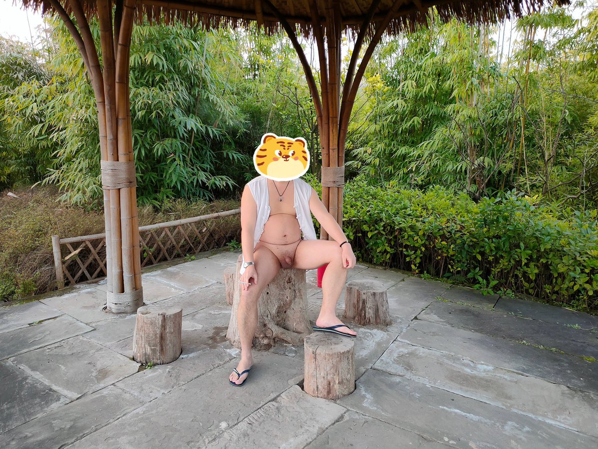 变熊的德鲁伊 tweet media