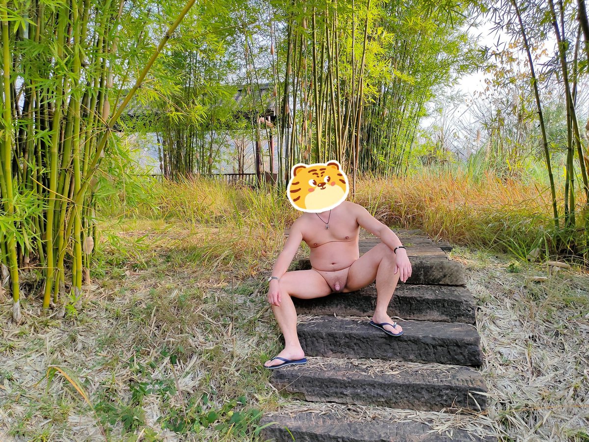 变熊的德鲁伊 tweet media