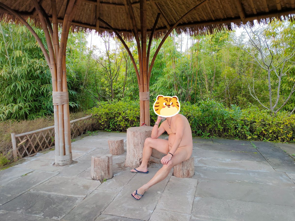 变熊的德鲁伊 tweet media