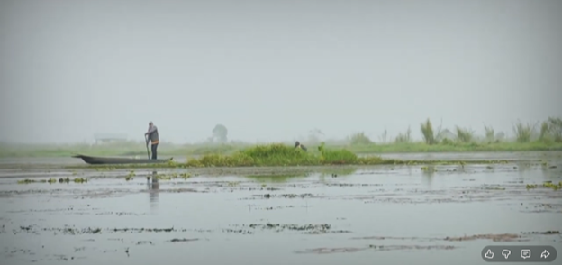 UNinIndia's tweet photo. Loktak Lake in Manipur is the largest freshwater lake in Northeast India, known for its circular floating swamps called 'phumdi'.

On World Wetlands Day, we celebrate these vital natural resources, that sustain people &amp; the planet.

➡️https://t.co/fhwQItUX2m

#CelebratingWetlands https://t.co/kspvF0A5Ys
