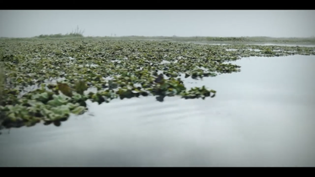 UNinIndia's tweet photo. Loktak Lake in Manipur is the largest freshwater lake in Northeast India, known for its circular floating swamps called 'phumdi'.

On World Wetlands Day, we celebrate these vital natural resources, that sustain people &amp; the planet.

➡️https://t.co/fhwQItUX2m

#CelebratingWetlands https://t.co/kspvF0A5Ys