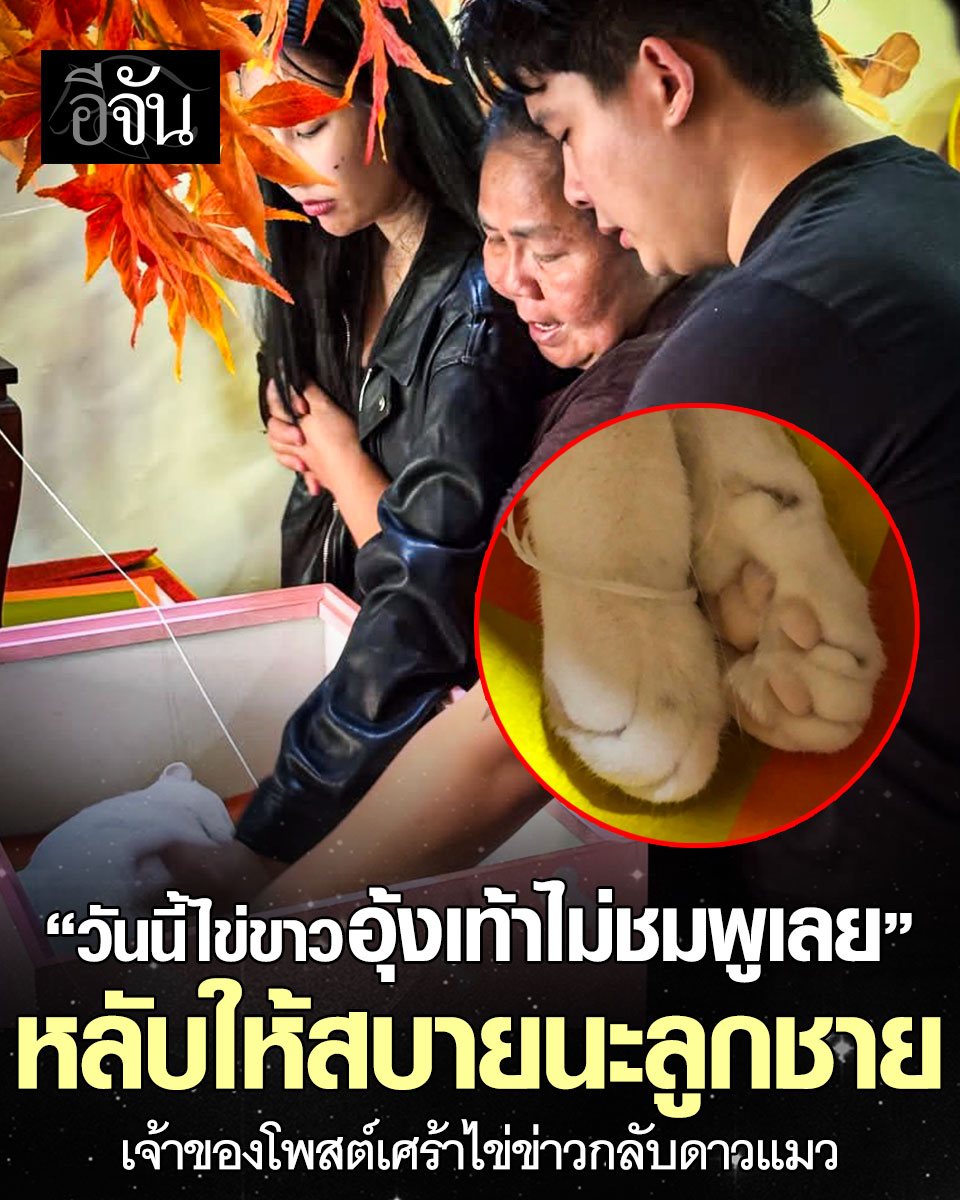 อีจัน tweet media