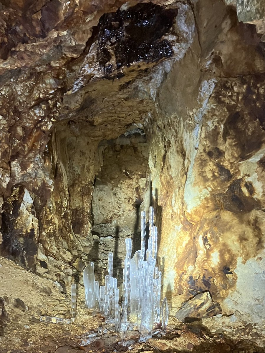 これを見た人は無言で去年の2月の画像を貼る