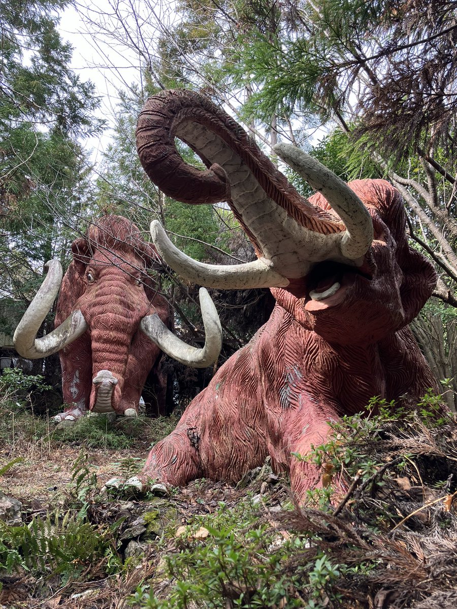 これを見た人は無言で去年の2月の画像を貼る