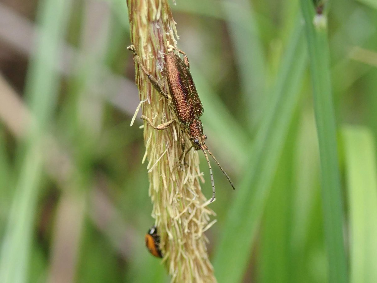 バエ (@831245leg) / Posts / X