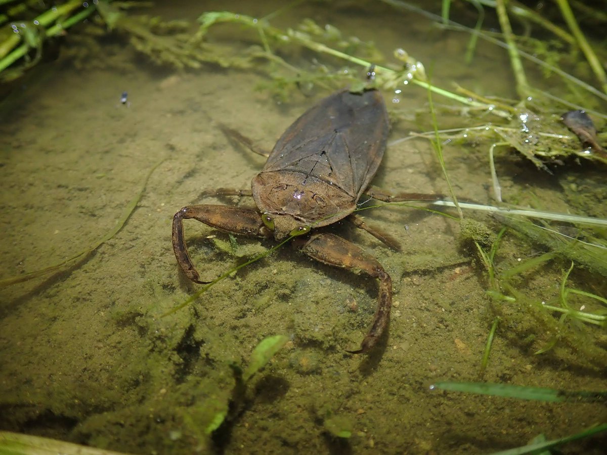 バエ (@831245leg) / Posts / X