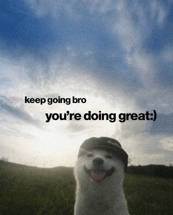 𝔻𝕙𝕒𝕟𝕚 𝔹𝕝𝕚𝕤𝕤 🆇 tweet media