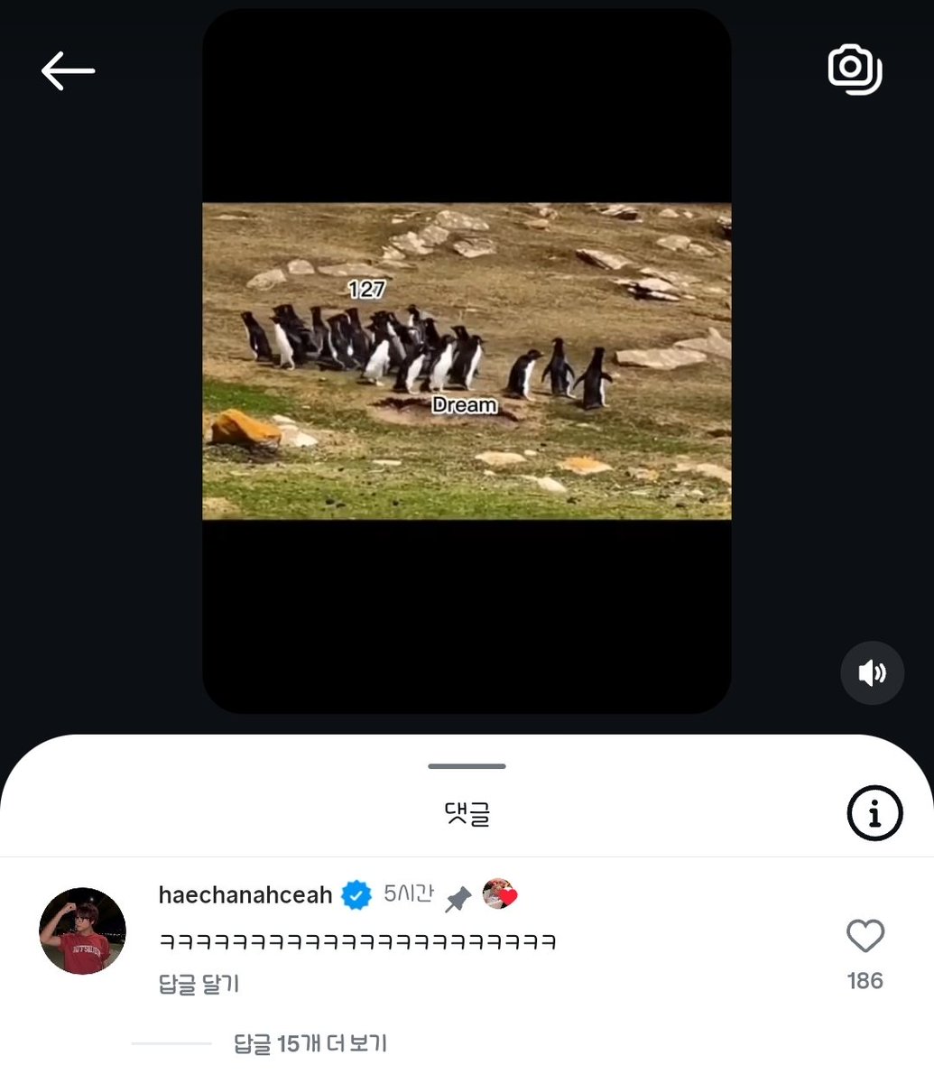 haechan_chanhae's tweet photo. 아 해찬이 릴스 댓글에 한바탕 웃고 감
근데 영상 뭔지 보고 나도 한바탕 웃음 아
https://t.co/fMcarRJGak https://t.co/cJoQYv9jyj