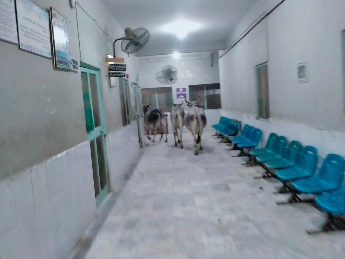 District Head Quarter Hospital Mithi, Tharparkar, Sindh