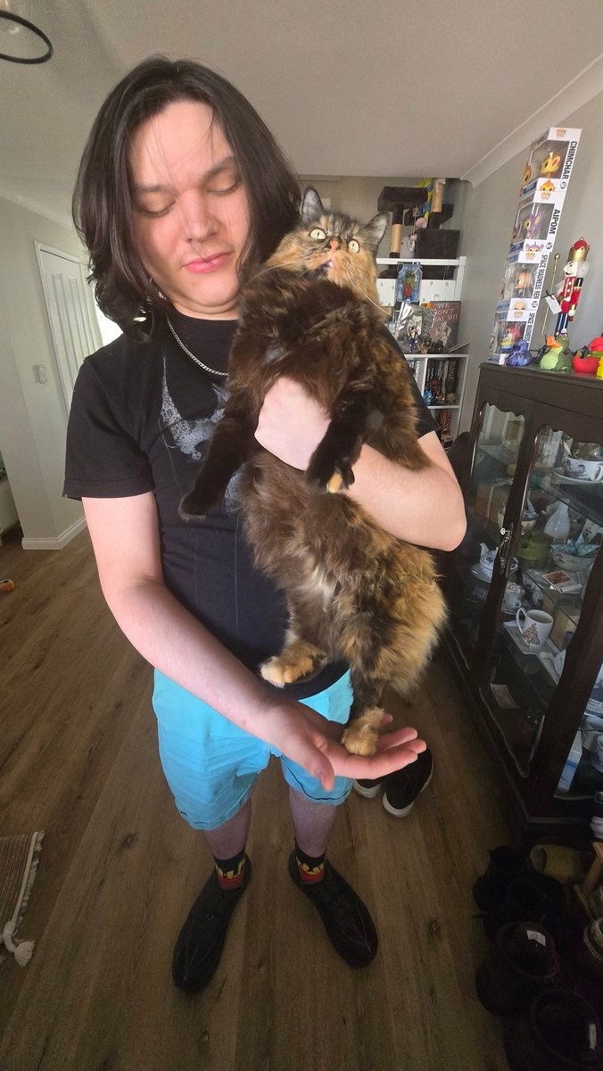 miko_mnm's tweet photo. Mixi cat the looong way @edmundmcmillen #mewgenics https://t.co/yX8utMbvJn