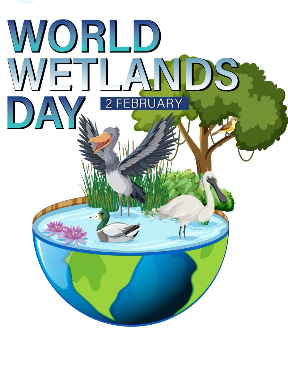 Orgullo de  tener  <a href="/MADRID/">Ayuntamiento Madrid</a> la Casa de Campo y el Monte del Pardo pero a los vecinos de Madrid Este, nos pilla muy lejos. En <a href="/JMD_SanBlas/">Distrito de San Blas-Canillejas</a> podríamos tener una Casa de Campo, un Humedal  a 25 min en metro desde Sol sería increíble! Feliz día de los Humedales!