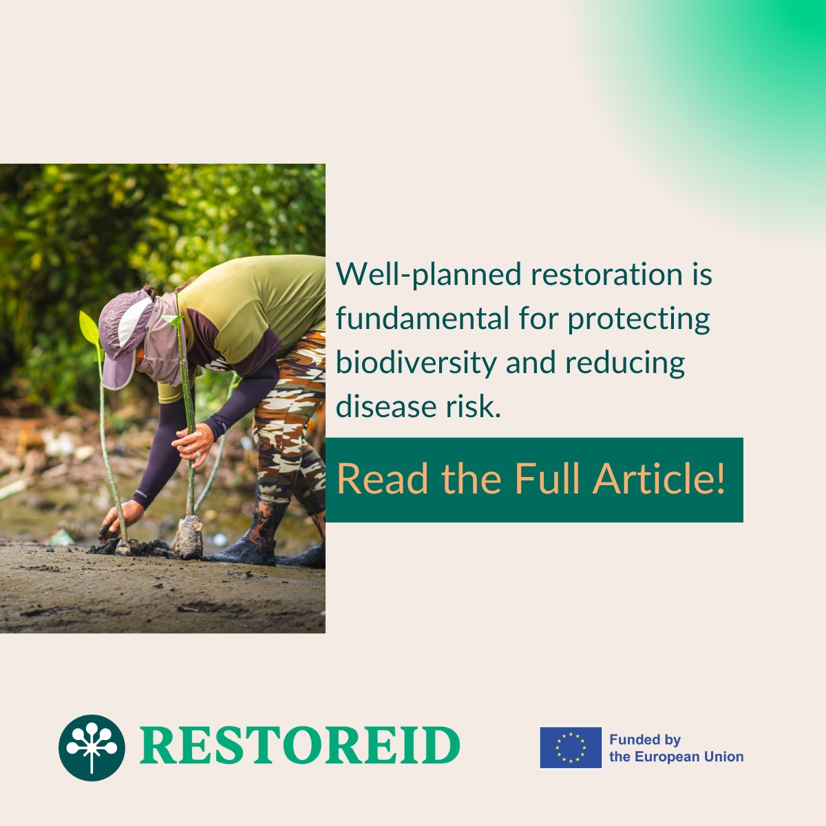 RESTOREID tweet media