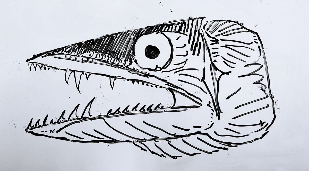 #ミズウオ 描いてみた