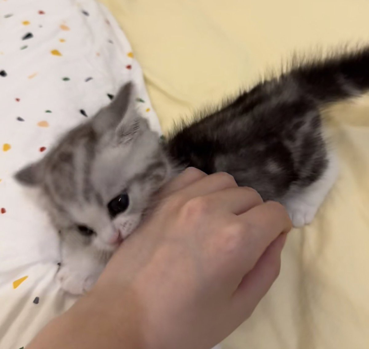 ⠀
⠀⠀⠀⠀⠀
        แบบนี้อ่ะเหรอ 👍🏻
⠀⠀⠀⠀⠀
⠀