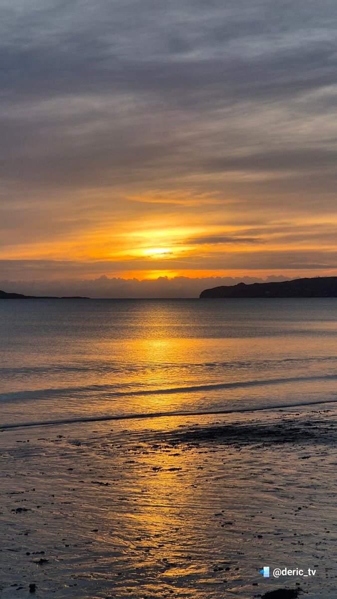 Swimrise 🇮🇪❤️🫠