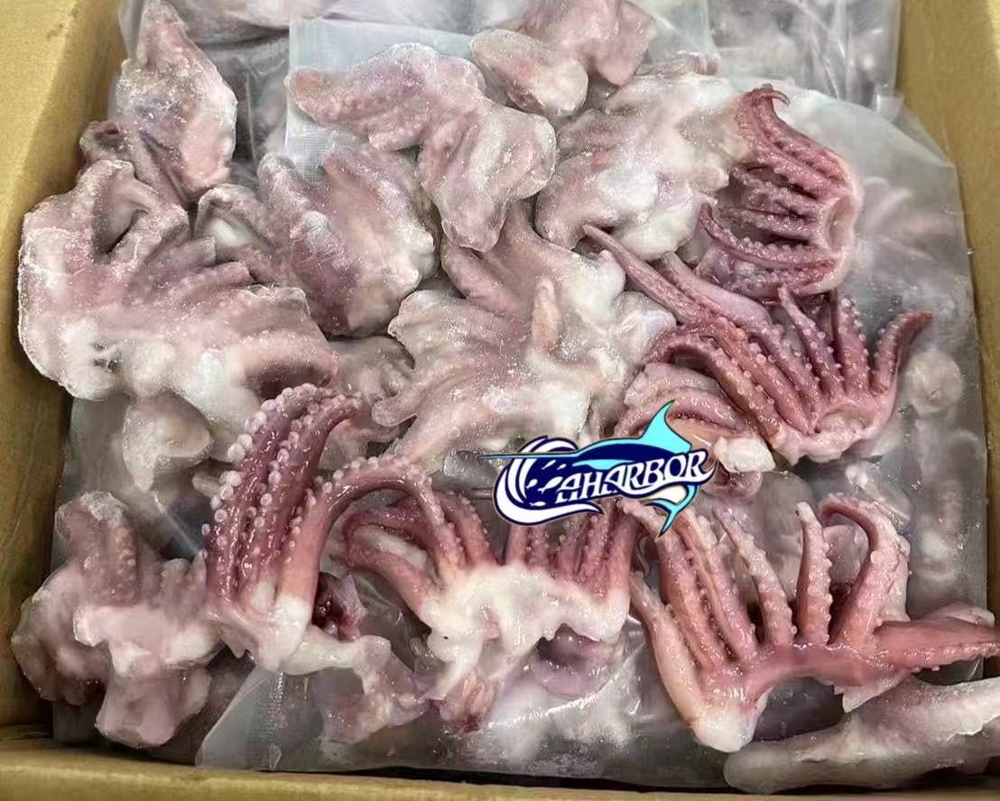 CCaharbor's tweet photo. ✅ Squid Head
-Custom glaze and size
🥂Welcome to inquire
-Email: sales03@caharbor.com
-WhatsApp/Wechat: +86 17350998197
#frozenseafood #frozensquid #squid #squidhead #giantsquid #indianoceansquid #squidbabytentacle #squidfactory https://t.co/QCD42KXrWg