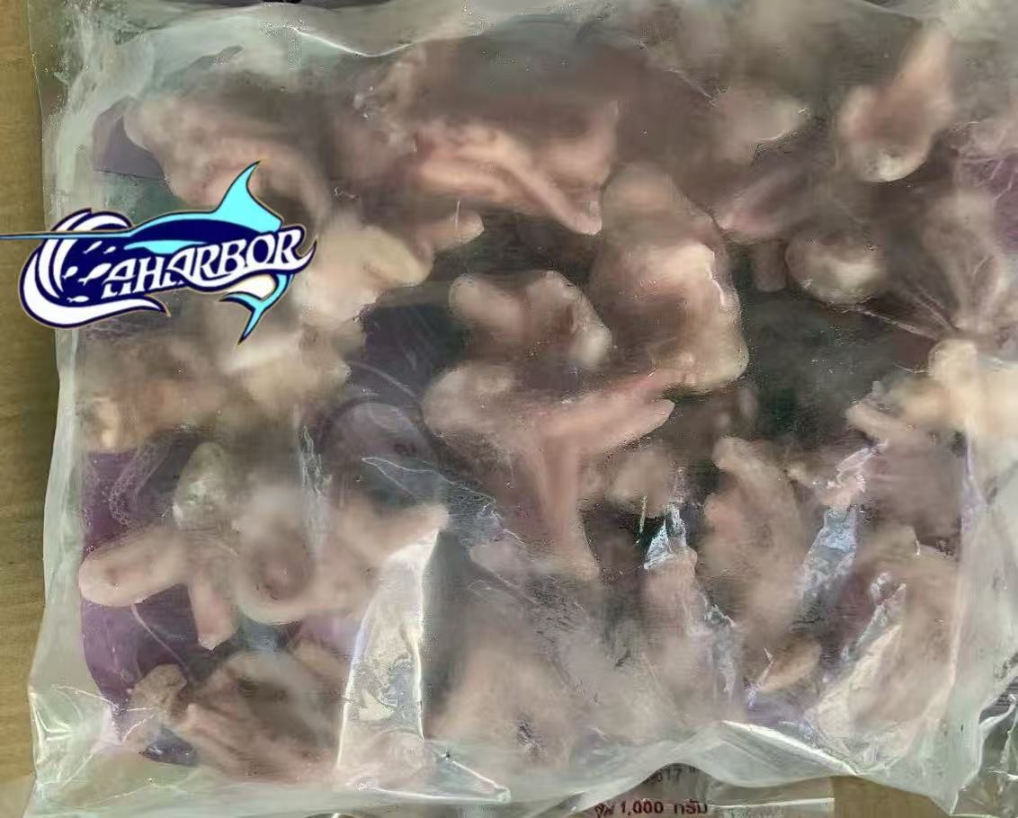 CCaharbor's tweet photo. ✅ Squid Head
-Custom glaze and size
🥂Welcome to inquire
-Email: sales03@caharbor.com
-WhatsApp/Wechat: +86 17350998197
#frozenseafood #frozensquid #squid #squidhead #giantsquid #indianoceansquid #squidbabytentacle #squidfactory https://t.co/QCD42KXrWg