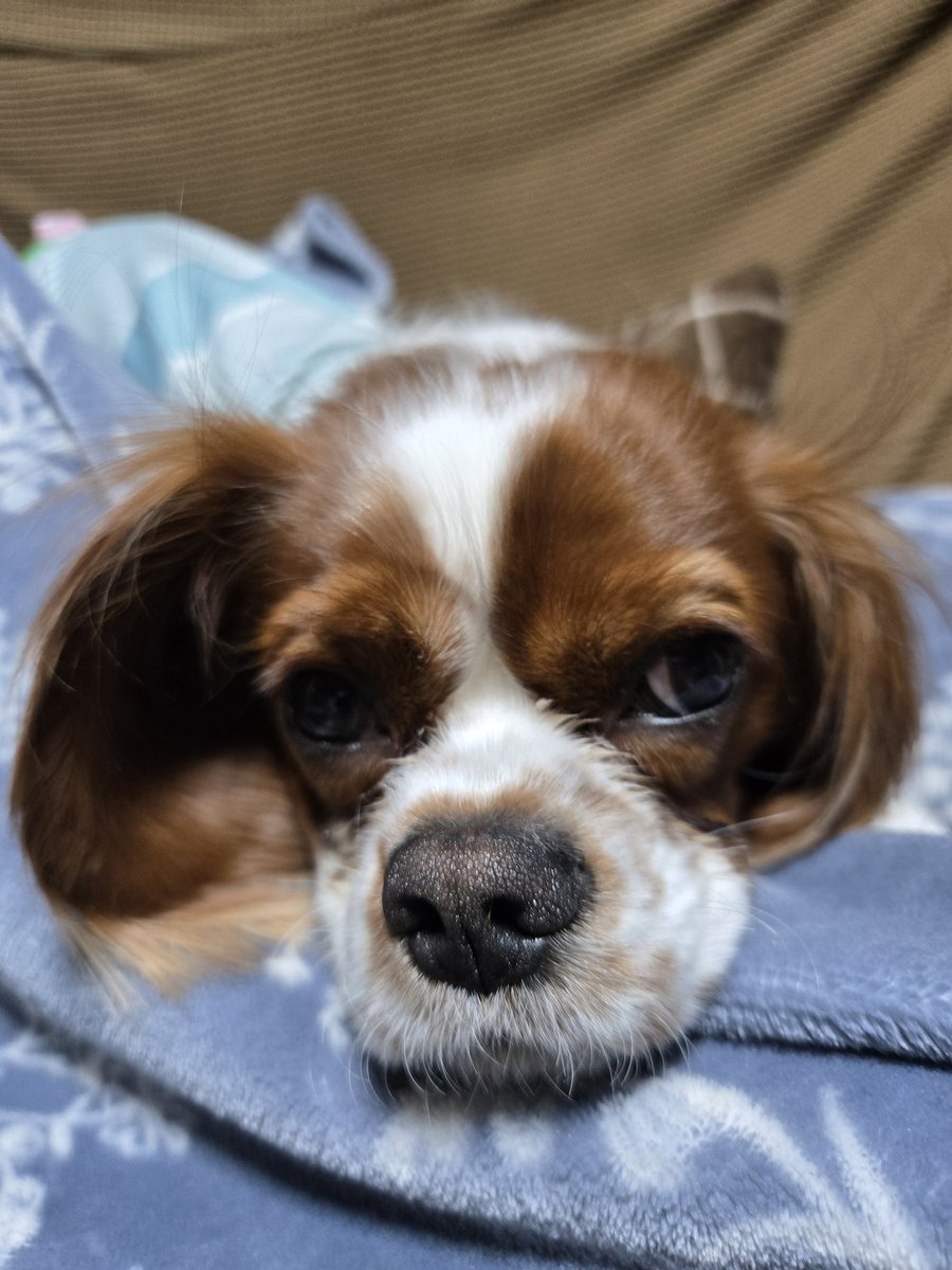 たかちゃん@発狂埼玉四池 (@c70310) / Posts / X