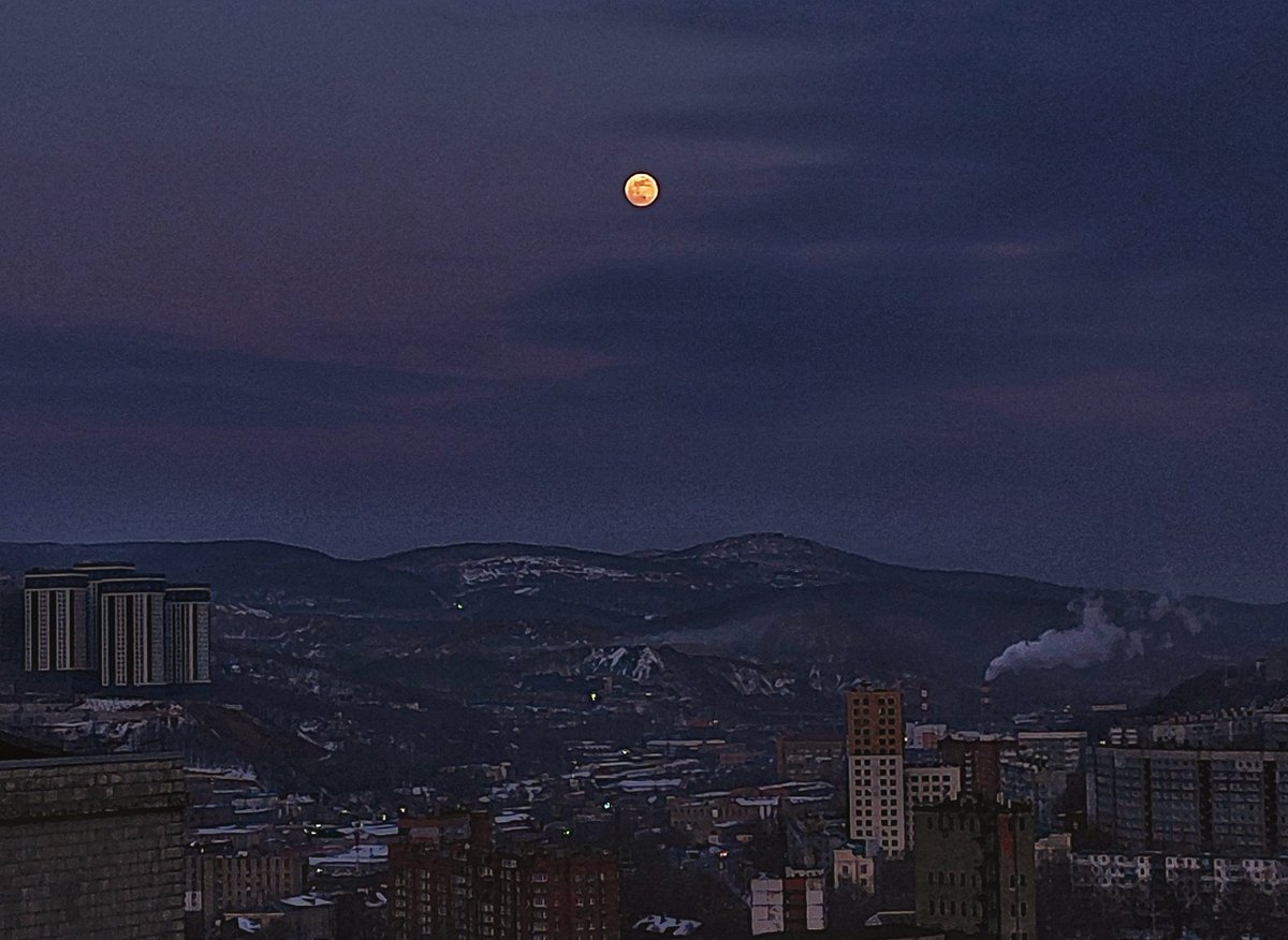 вернись в сорренто tweet media