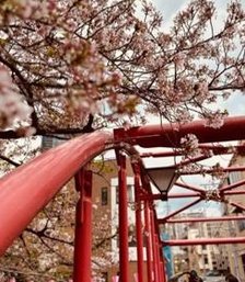 Jolisheet's tweet image. 暗い地球 🤠