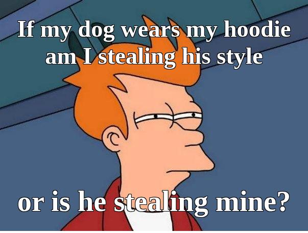 PuppyJoStore's tweet image. Is it theft if he looks better? Asking for a friend… and his adorable partner in crime. 😏🐶 #DogStealsTheShow #PetParentProblems