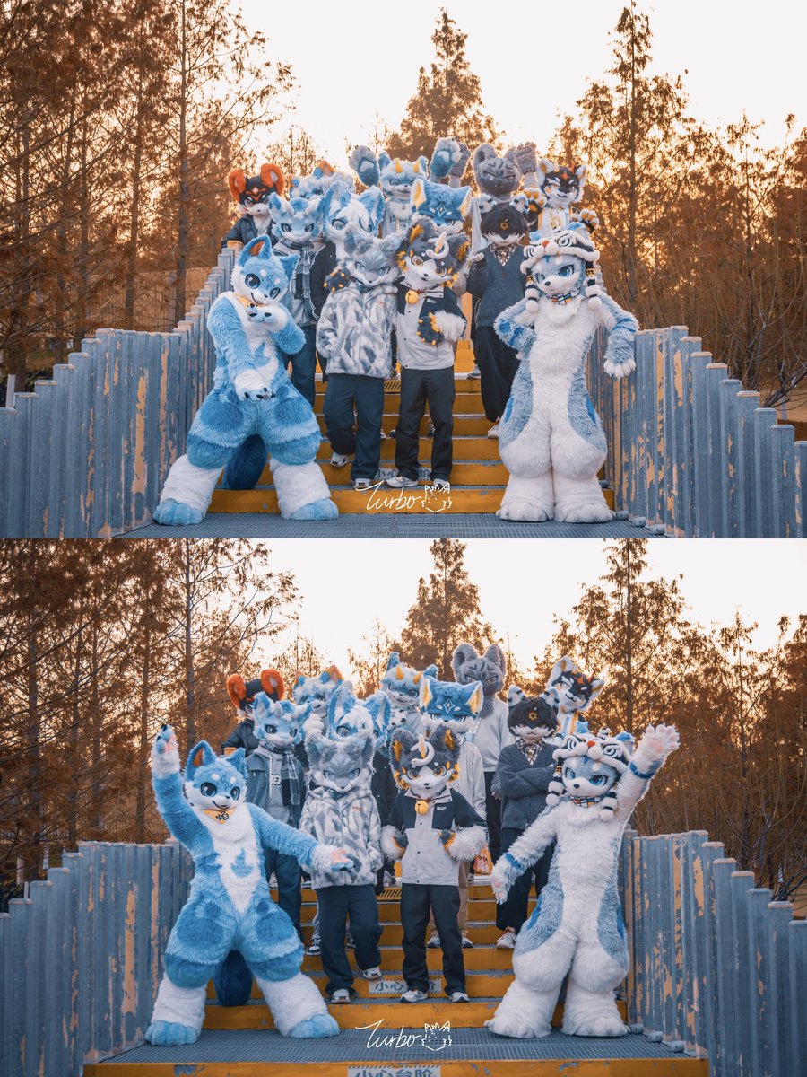 碧影Zeagle🔜郑州重生兽聚 tweet media