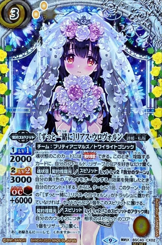 10thディーバ］リオル・ティーダ シークレット 3枚 白晶防壁