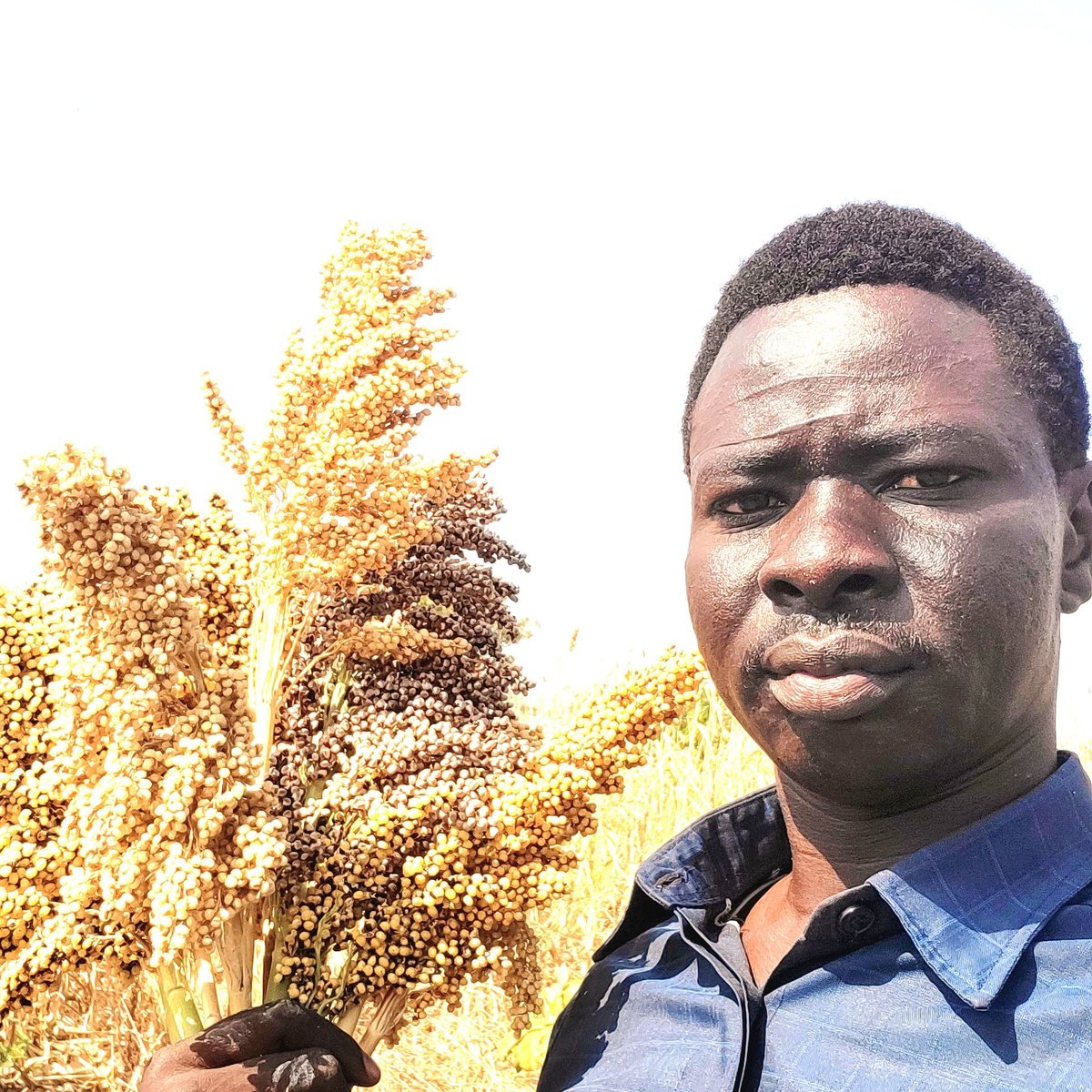 Senator Clement Bey 🇸🇸 🇪🇬 tweet media