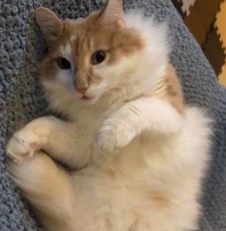 simonoce64's tweet image. 何の世界でしょう？ 👨‍👧