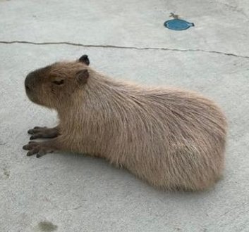 simonwalker90's tweet image. なぜの絵でしょう？ 😜