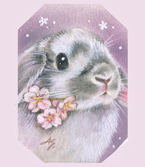 しらとあきこ (@akipcs) / Posts / X