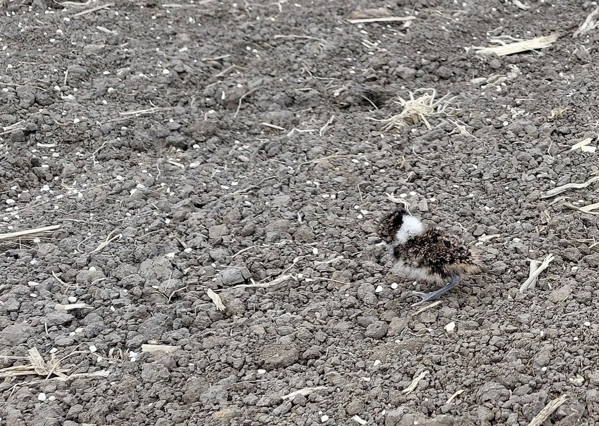 BoerenNatuur tweet media