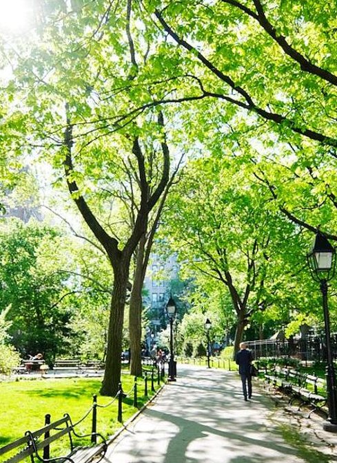 Frag223's tweet image. 午後の散歩だよ 🐐